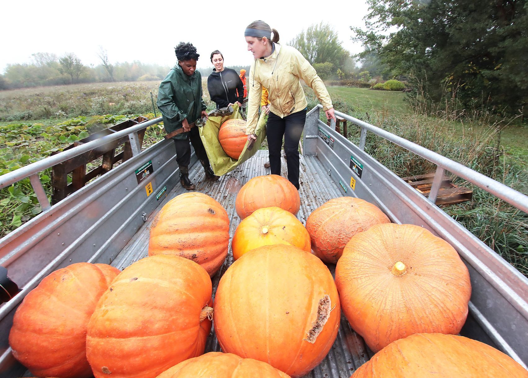 Great gourds